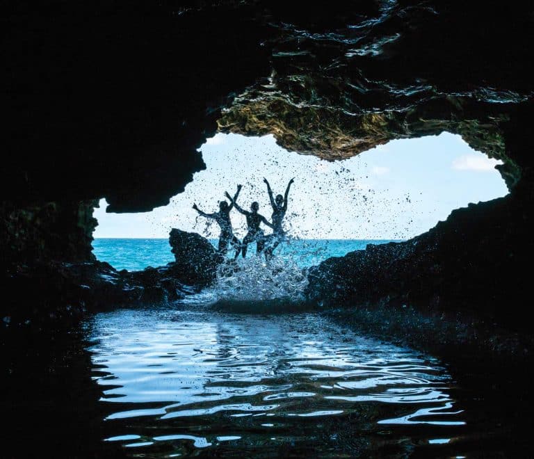 Animal Flower Cave