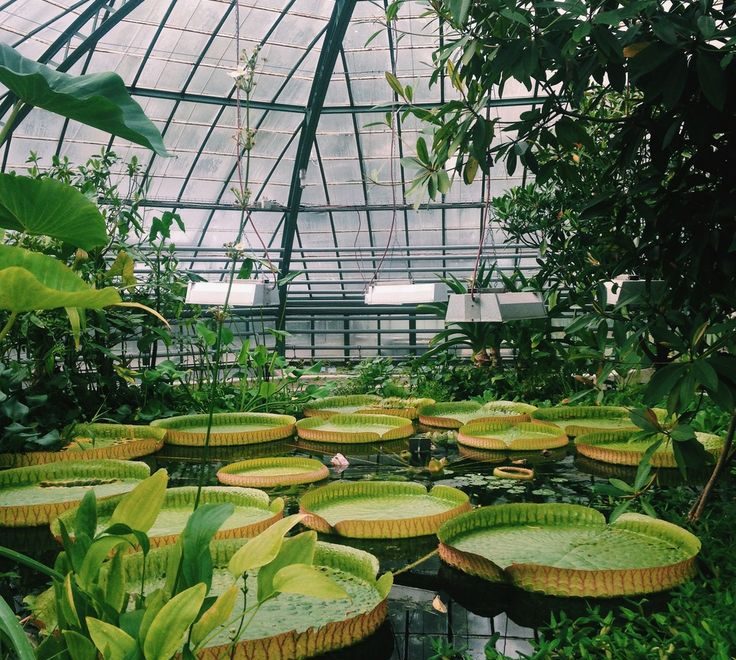 Brno Botanical Gardens