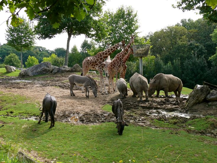 Brno Zoo