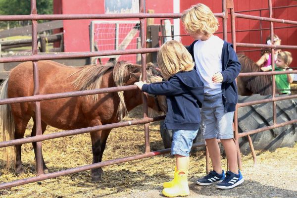 Butterfield Acres Farm