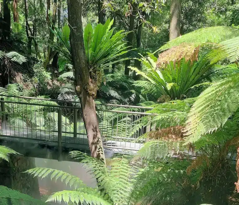 Australian National Botanic Gardens