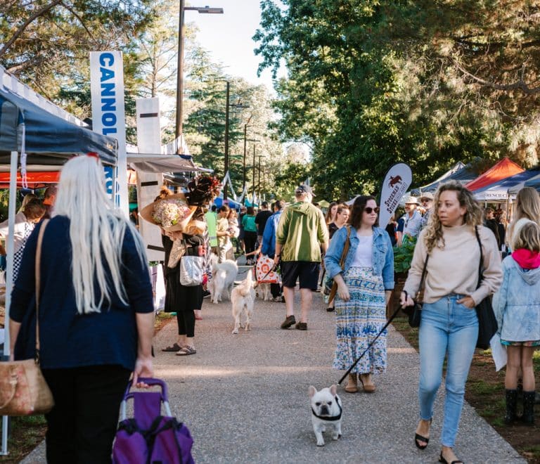 Haig Park Village Markets