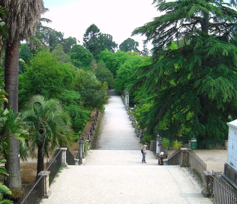 Coimbra Botanical Garden