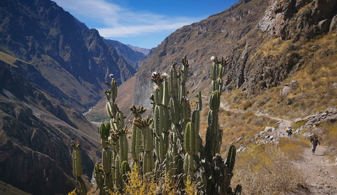 Colca Canyon