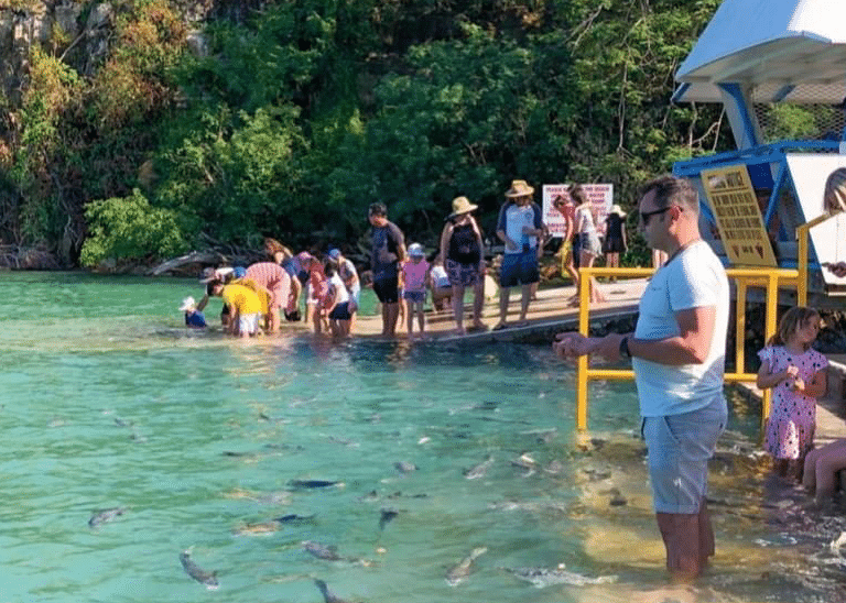 Aquascene Fish Feeding Sanctuary and Cafe