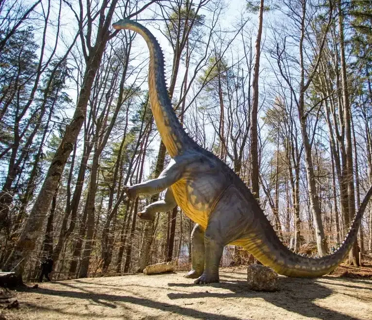 Dino Parc Râșnov