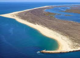 Ilha Deserta (Deserted Island)