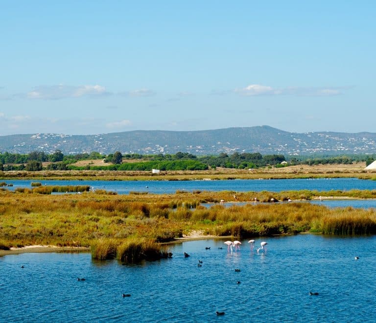 Ria Formosa Nature Park