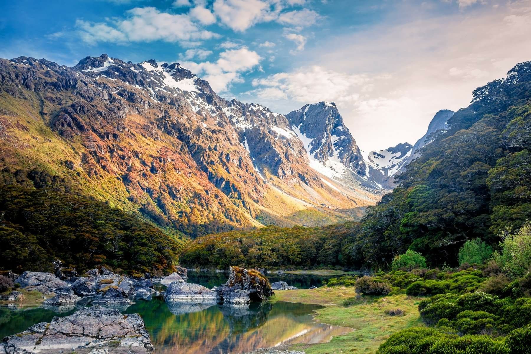 Fiordland New Zealand