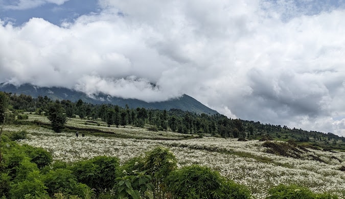 Gahinga Volcano