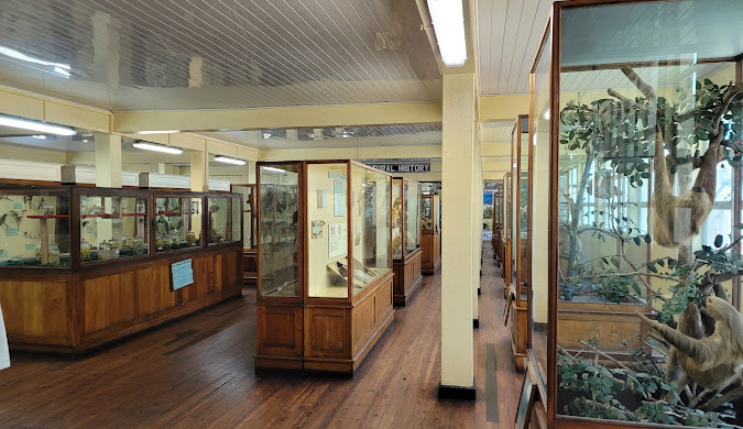 Guyana National Museum