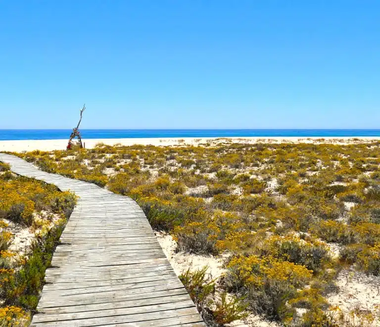 Ilha Deserta (Deserted Island)