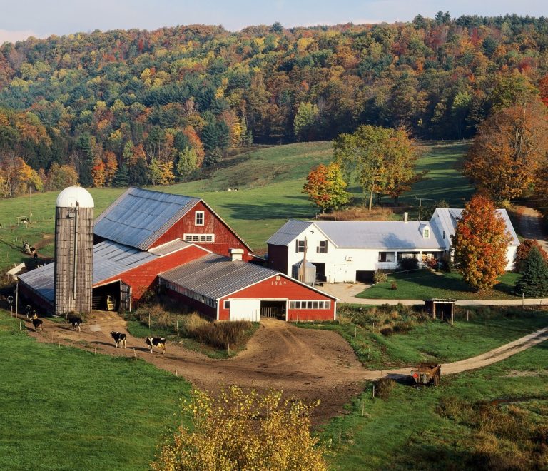 Maplewood Farm