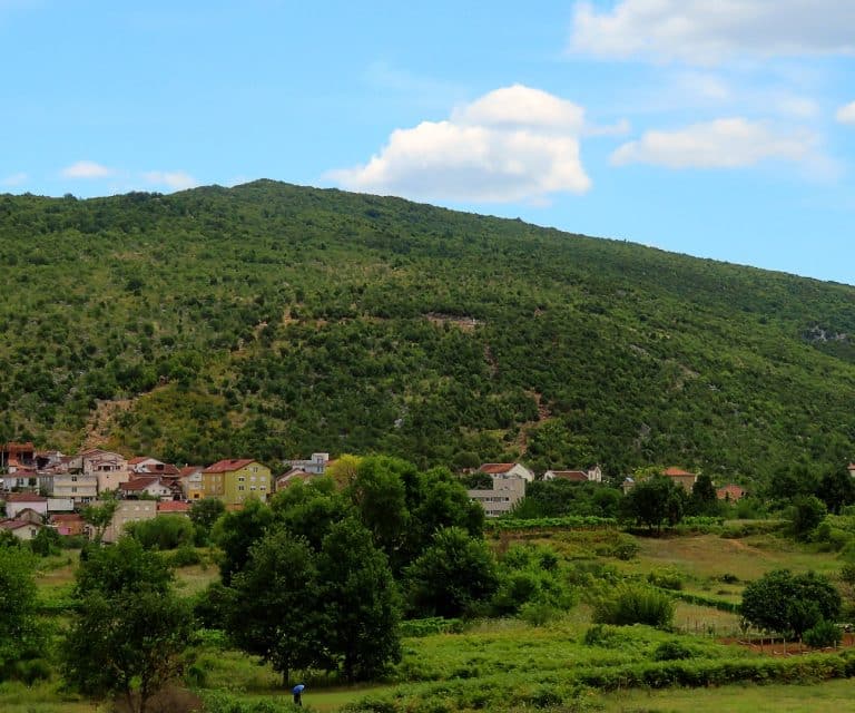 Bijakovići Vineyards