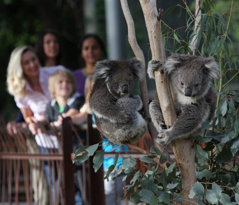 Melbourne Zoo