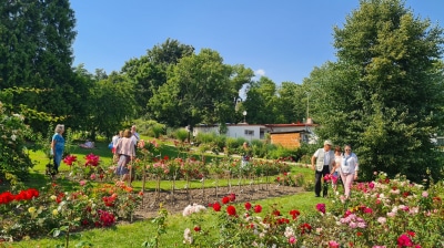 Botanical Gardens