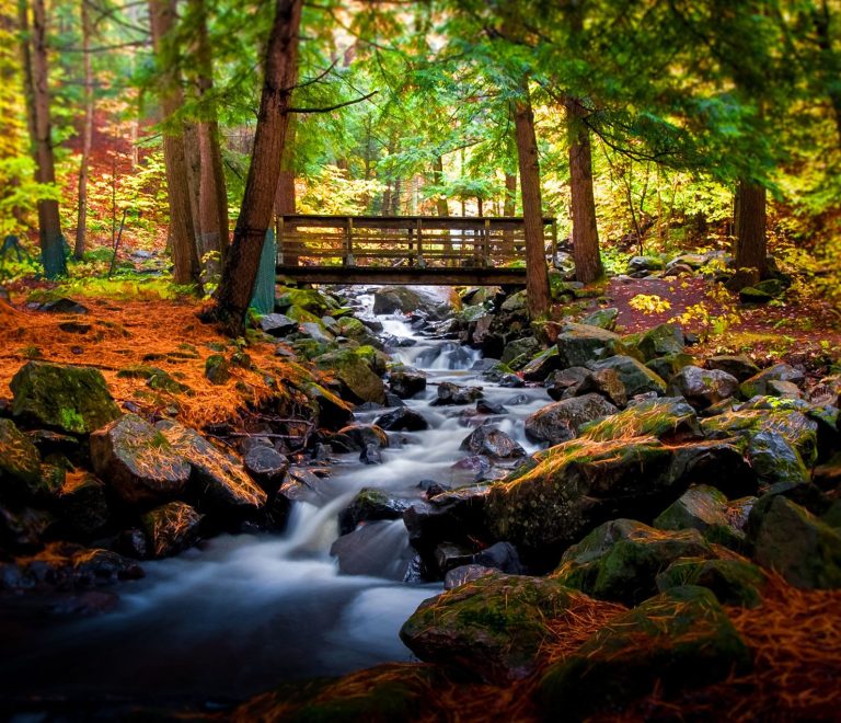 Gatineau Park