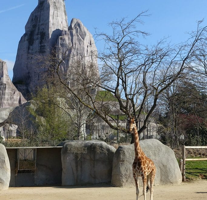 Parc Zoologique de Paris