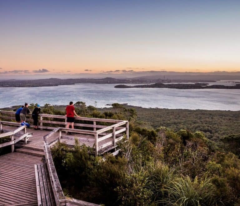 Rangitoto Island