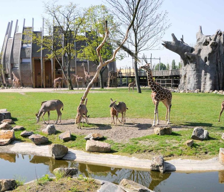 Rotterdam Zoo (Diergaarde Blijdorp)