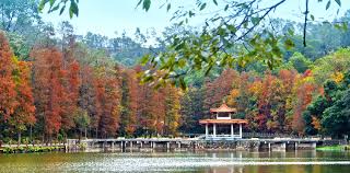 Fairy Lake Botanical Garden