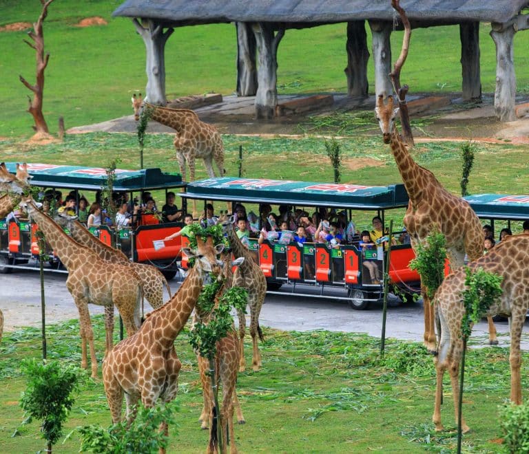 Shenzhen Safari Park