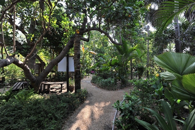 Angkor Butterfly Centre