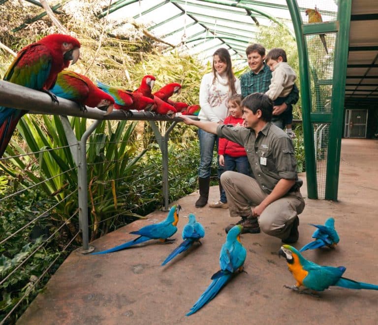 Temaikèn Biopark