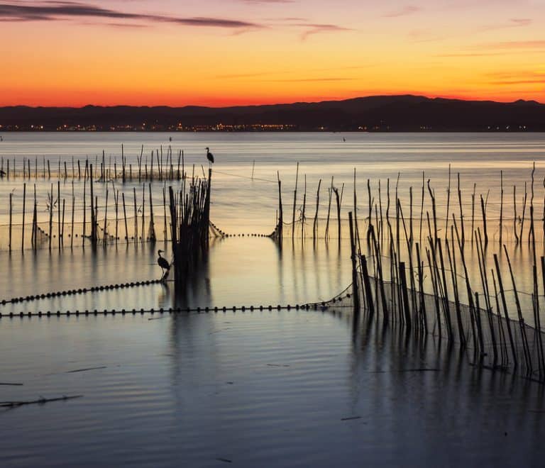 Albufera Natural Park