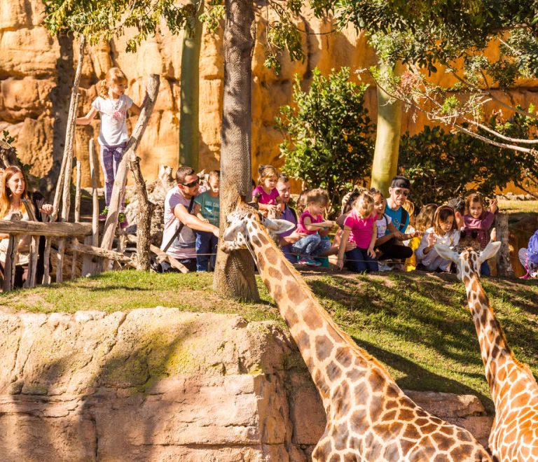 Bioparc Valencia