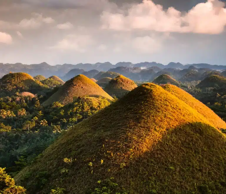 Chocolate Hills