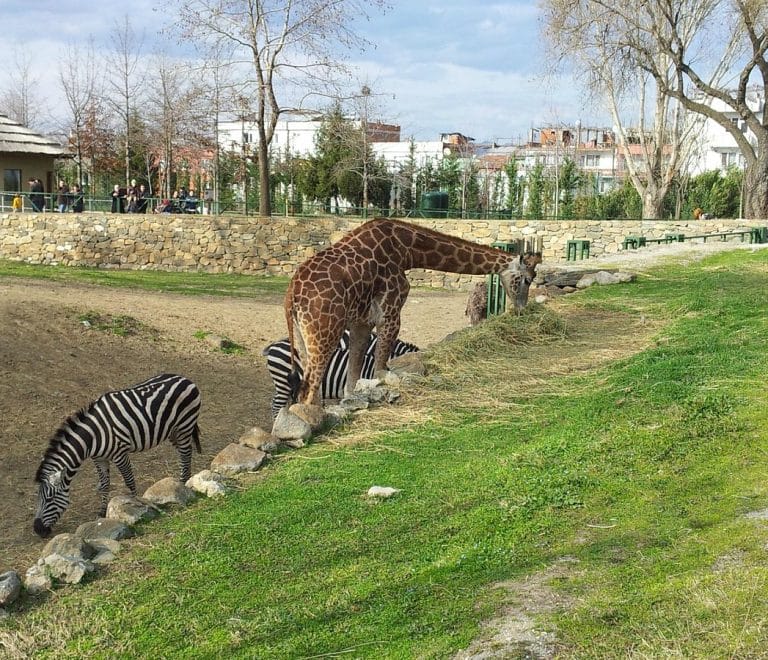 Bursa Zoo