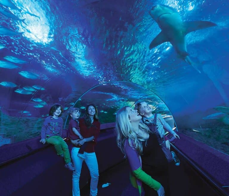 AQWA – The Aquarium of Western Australia