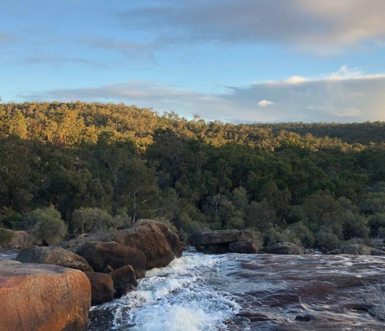 John Forrest National Park