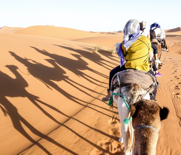 Desert Safari with Camel Ride