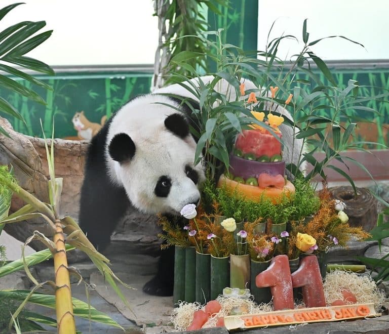 Guangzhou Zoo