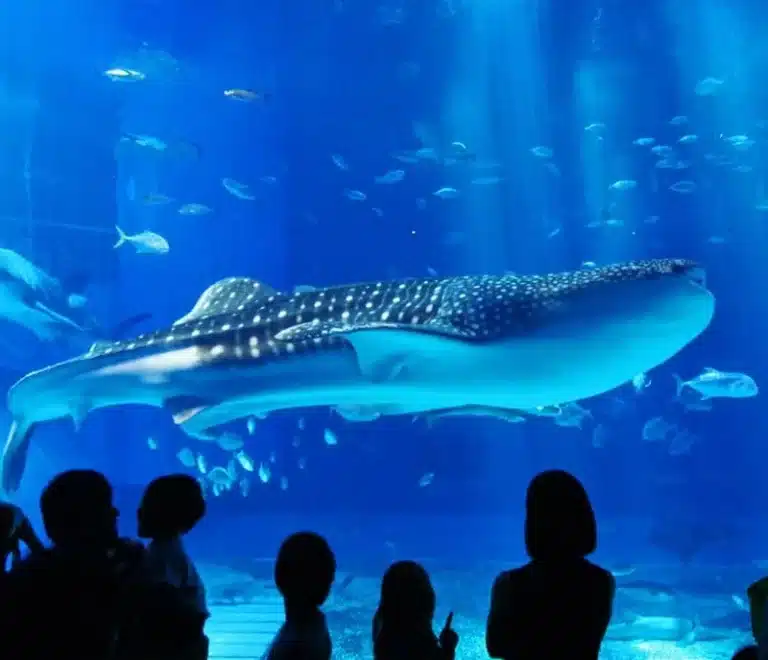 Hurghada Grand Aquarium