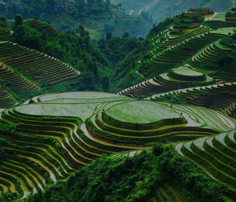 Longji Rice Terraces