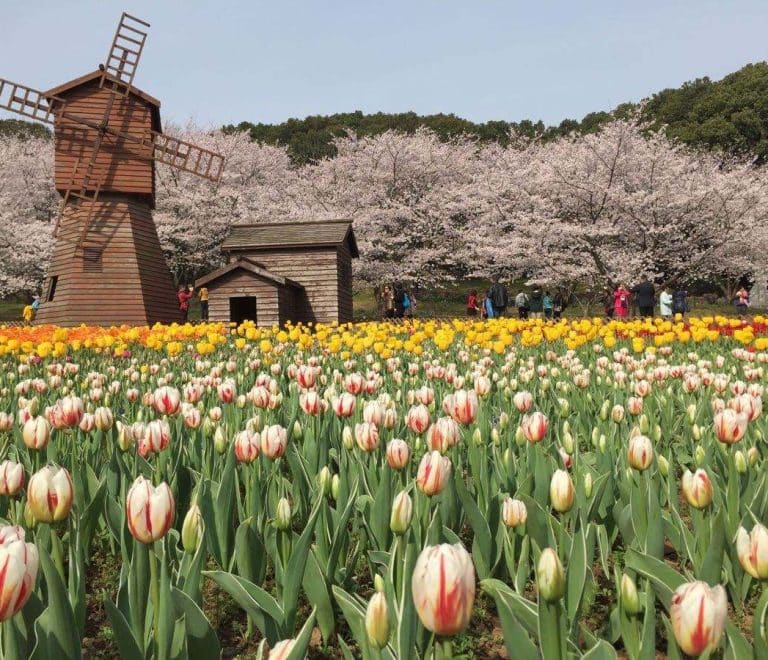 Shangfang Mountain National Forest Park