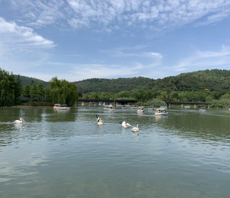 Suzhou Zoo