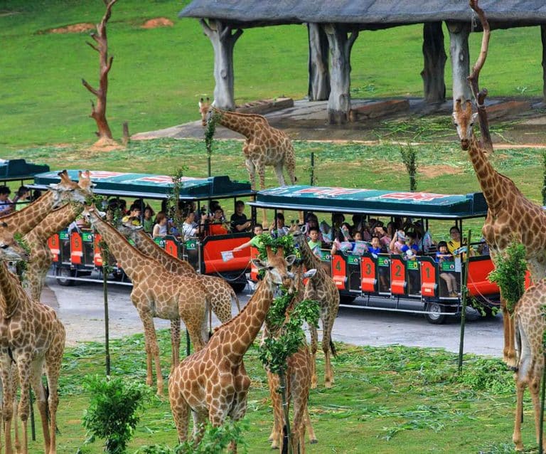 Xiangjiang Safari Park